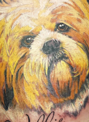 0001a   Tiere   Tattoo Hamburg Skinworxx